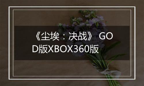 《尘埃：决战》 GOD版XBOX360版