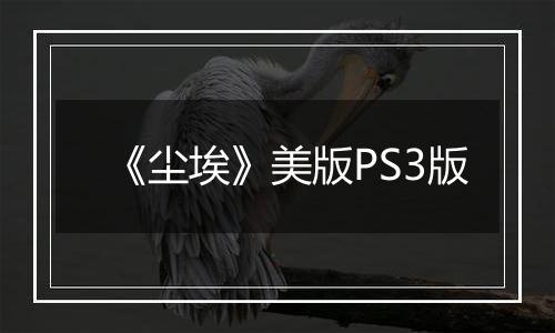 《尘埃》美版PS3版