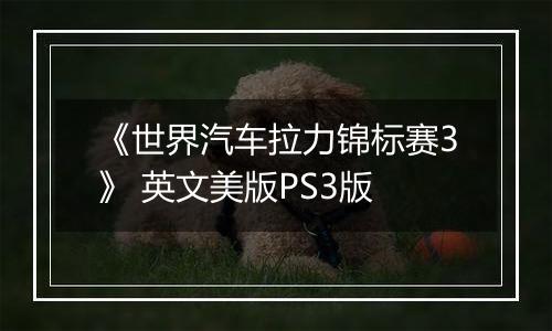 《世界汽车拉力锦标赛3》 英文美版PS3版