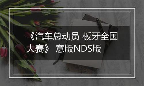 《汽车总动员 板牙全国大赛》 意版NDS版