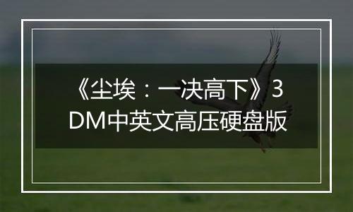 《尘埃：一决高下》3DM中英文高压硬盘版