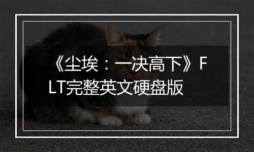 《尘埃：一决高下》FLT完整英文硬盘版