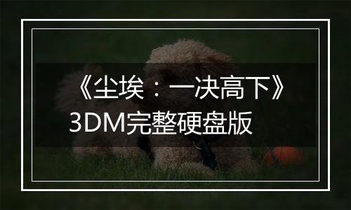 《尘埃：一决高下》3DM完整硬盘版