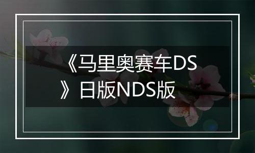 《马里奥赛车DS》日版NDS版