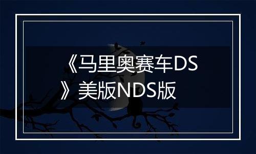 《马里奥赛车DS》美版NDS版