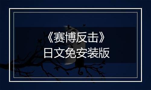 《赛博反击》日文免安装版