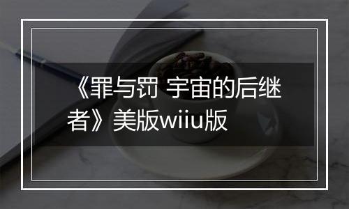 《罪与罚 宇宙的后继者》美版wiiu版