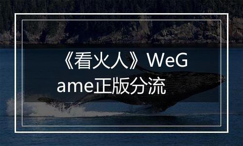 《看火人》WeGame正版分流