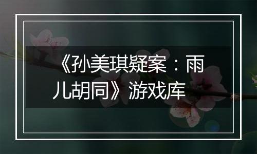《孙美琪疑案：雨儿胡同》游戏库