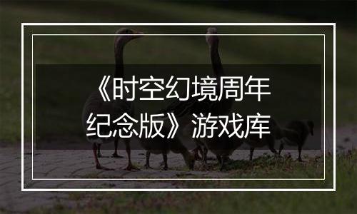 《时空幻境周年纪念版》游戏库
