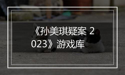 《孙美琪疑案 2023》游戏库