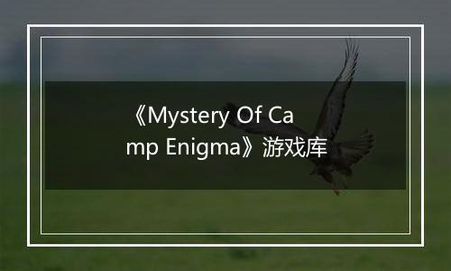 《Mystery Of Camp Enigma》游戏库