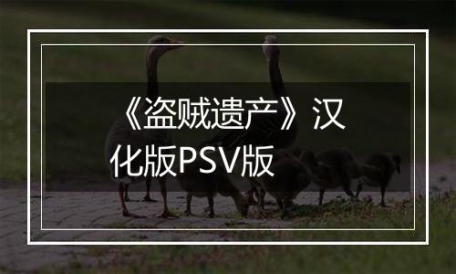 《盗贼遗产》汉化版PSV版