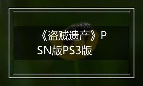 《盗贼遗产》PSN版PS3版