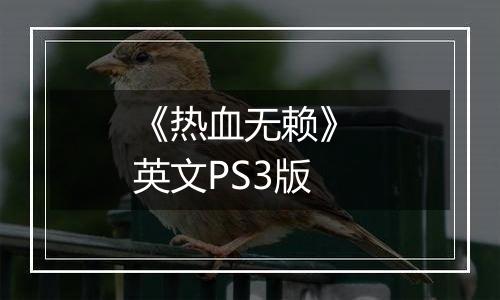 《热血无赖》 英文PS3版