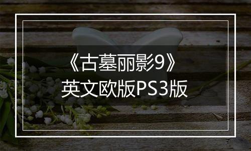 《古墓丽影9》 英文欧版PS3版