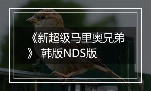 《新超级马里奥兄弟》 韩版NDS版