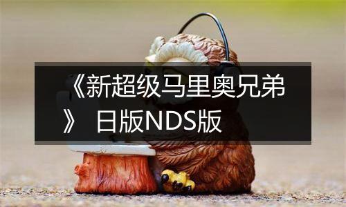 《新超级马里奥兄弟》 日版NDS版