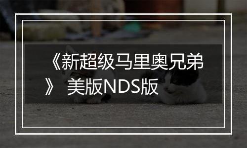 《新超级马里奥兄弟》 美版NDS版