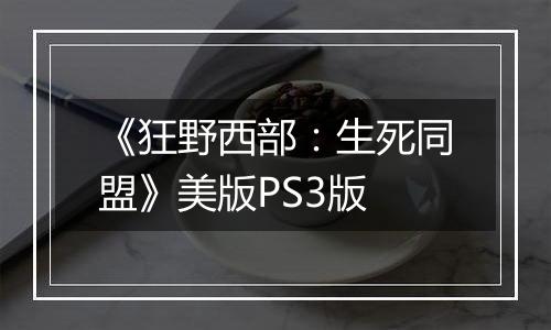 《狂野西部：生死同盟》美版PS3版