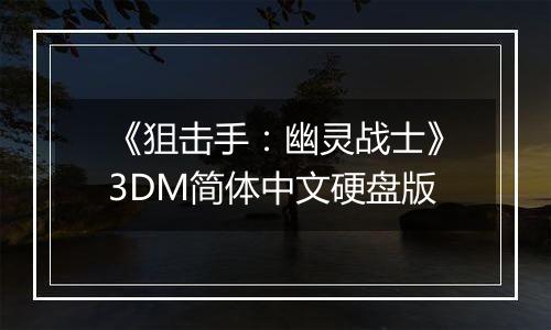 《狙击手：幽灵战士》3DM简体中文硬盘版
