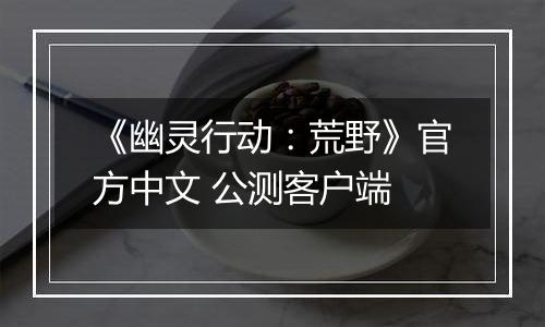 《幽灵行动：荒野》官方中文 公测客户端