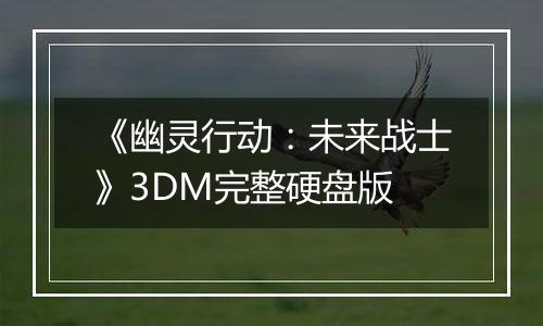 《幽灵行动：未来战士》3DM完整硬盘版