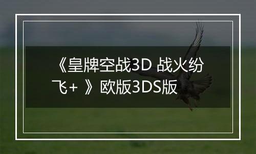 《皇牌空战3D 战火纷飞+ 》欧版3DS版