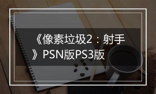 《像素垃圾2：射手》PSN版PS3版