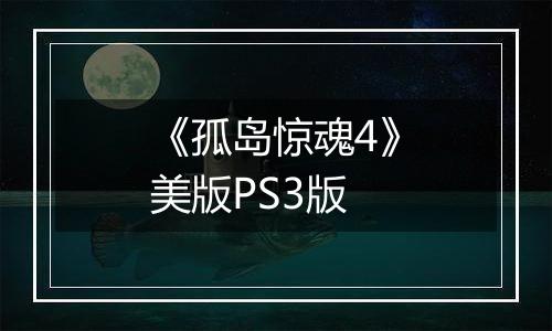 《孤岛惊魂4》美版PS3版