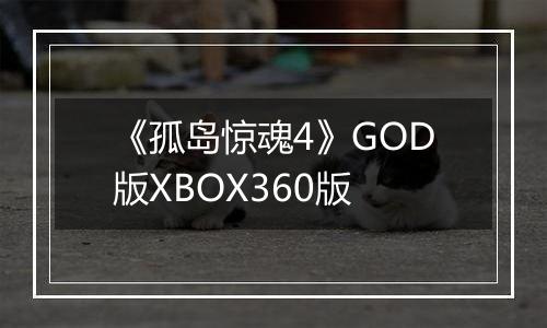 《孤岛惊魂4》GOD版XBOX360版