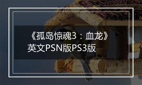 《孤岛惊魂3：血龙》 英文PSN版PS3版