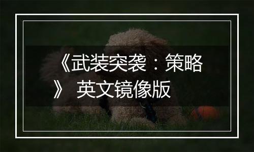 《武装突袭：策略》 英文镜像版