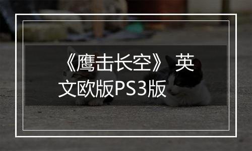 《鹰击长空》 英文欧版PS3版