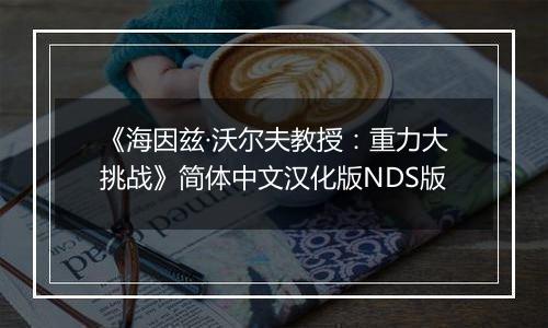 《海因兹·沃尔夫教授：重力大挑战》简体中文汉化版NDS版