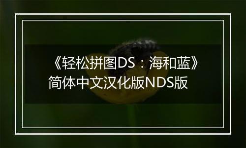 《轻松拼图DS：海和蓝》简体中文汉化版NDS版