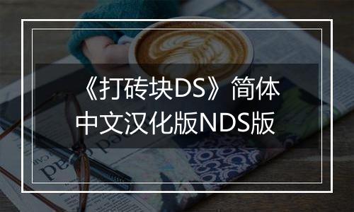 《打砖块DS》简体中文汉化版NDS版