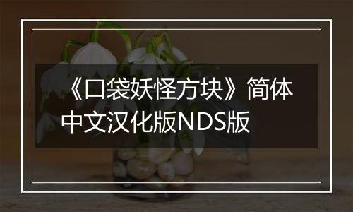 《口袋妖怪方块》简体中文汉化版NDS版