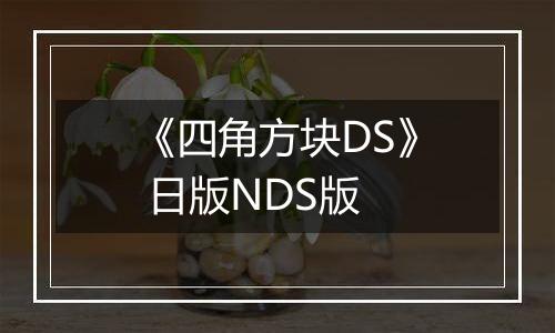 《四角方块DS》 日版NDS版