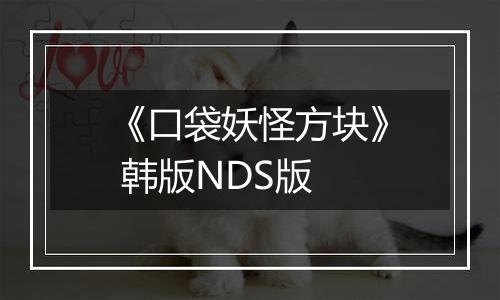 《口袋妖怪方块》 韩版NDS版
