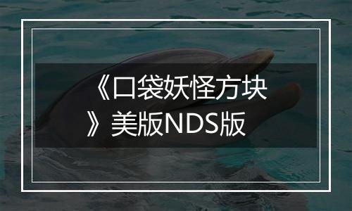 《口袋妖怪方块》美版NDS版