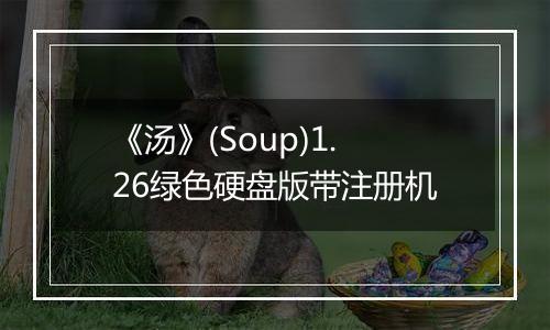 《汤》(Soup)1.26绿色硬盘版带注册机