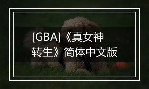 [GBA]《真女神转生》简体中文版
