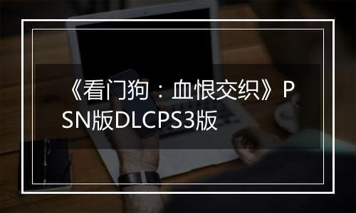 《看门狗：血恨交织》PSN版DLCPS3版