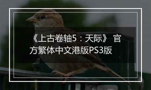 《上古卷轴5：天际》 官方繁体中文港版PS3版