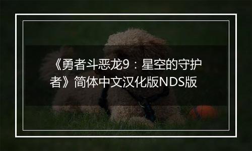 《勇者斗恶龙9：星空的守护者》简体中文汉化版NDS版