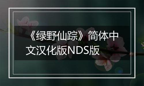《绿野仙踪》简体中文汉化版NDS版