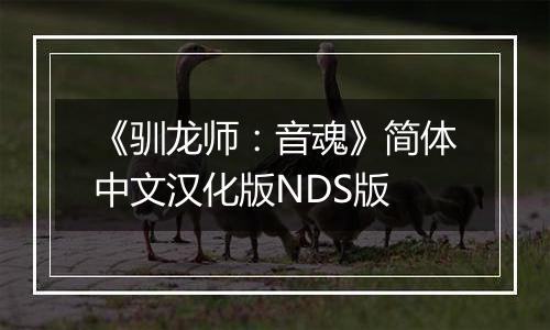 《驯龙师：音魂》简体中文汉化版NDS版