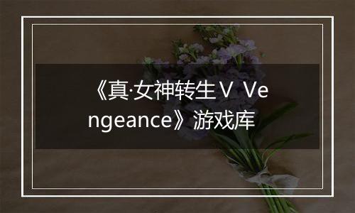 《真·女神转生Ⅴ Vengeance》游戏库