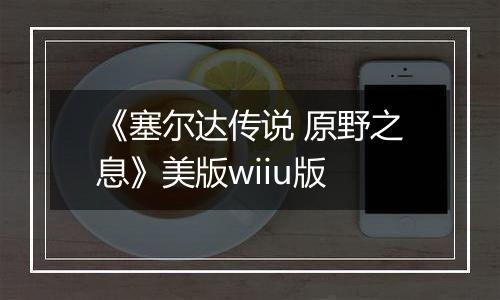 《塞尔达传说 原野之息》美版wiiu版